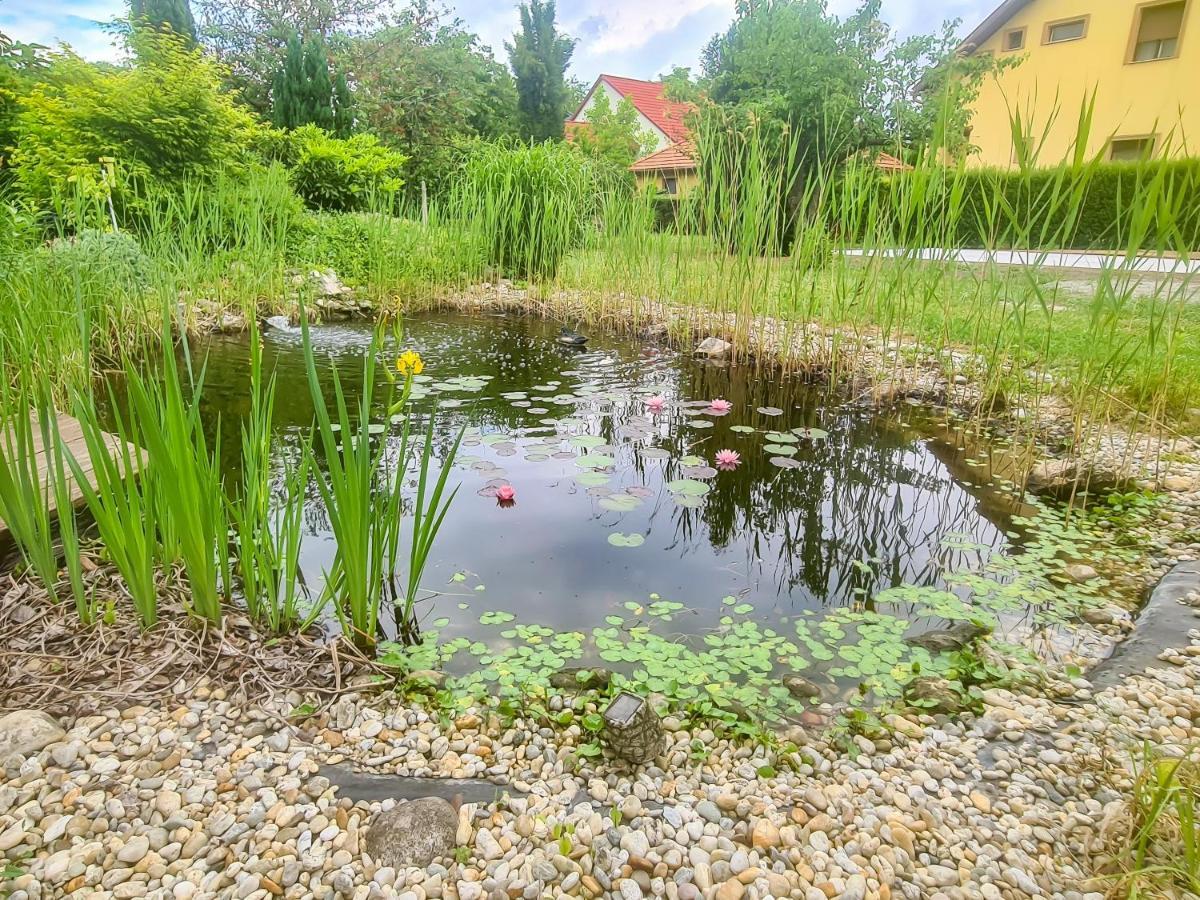 Ditlin Apartmanok Pápa Екстериор снимка